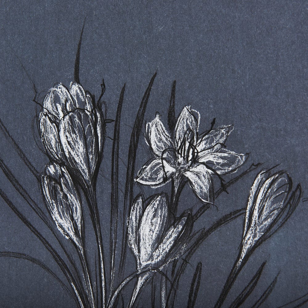 Mercana - Botanical sketches V Blue by Mercana Studio Hand Embellished Framed Art Print Matted under Glass - 14573 view 7