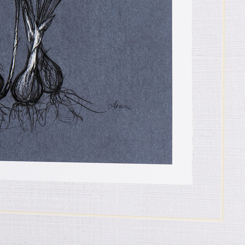 Mercana - Botanical sketches V Blue by Mercana Studio Hand Embellished Framed Art Print Matted under Glass - 14579 view 6