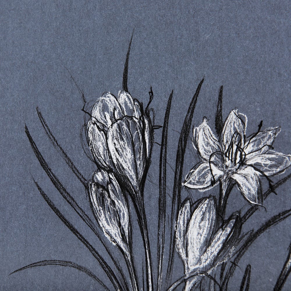 Mercana - Botanical sketches V Blue by Mercana Studio Hand Embellished Framed Art Print Matted under Glass - 14579 view 7