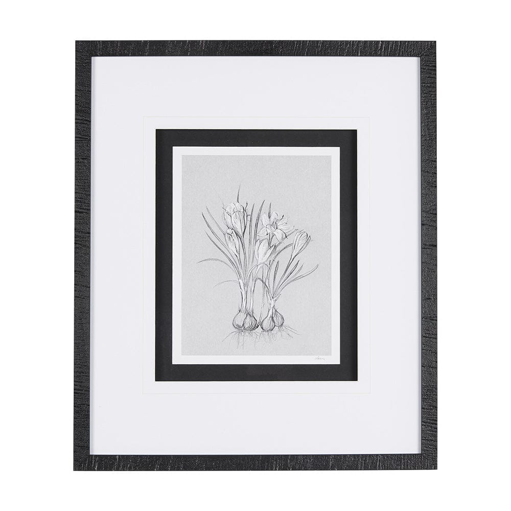 Mercana - Botanical sketches V Grey by Mercana Studio Hand Embellished Framed Art Print Matted under Glass - 14538 view 1