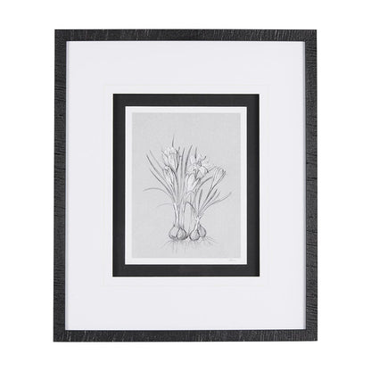 Mercana - Botanical sketches V Grey by Mercana Studio Hand Embellished Framed Art Print Matted under Glass - 14538 view 1