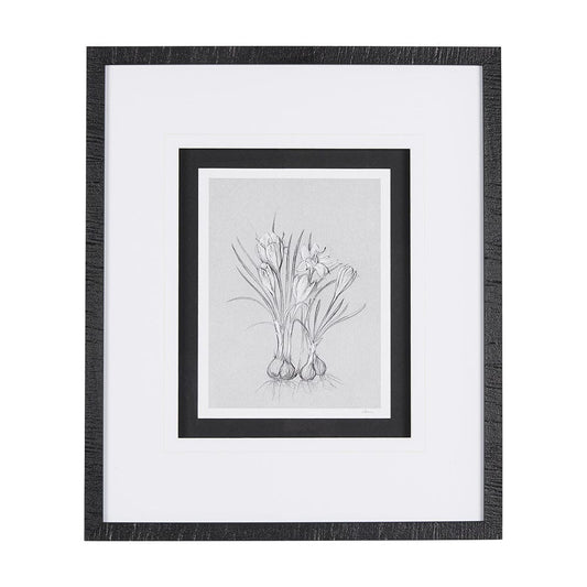 Mercana - Botanical sketches V Grey by Mercana Studio Hand Embellished Framed Art Print Matted under Glass - 14538 view 1