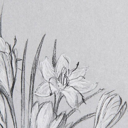 Mercana - Botanical sketches V Grey by Mercana Studio Hand Embellished Framed Art Print Matted under Glass - 14538 view 7