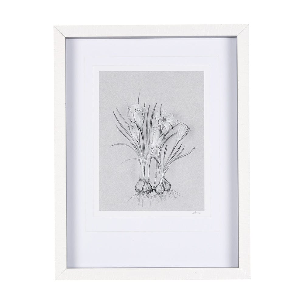 Mercana - Botanical sketches V Grey by Mercana Studio Hand Embellished Framed Art Print Matted under Glass - 14590 view 1