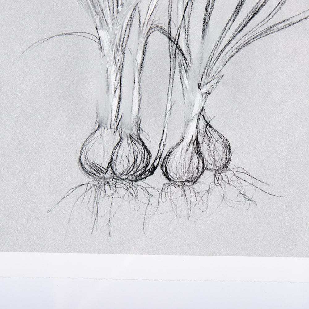 Mercana - Botanical sketches V Grey by Mercana Studio Hand Embellished Framed Art Print Matted under Glass - 14590 view 6
