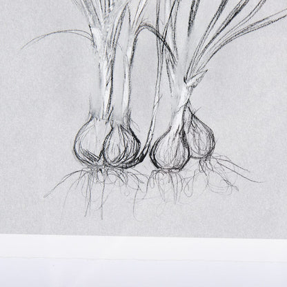 Mercana - Botanical sketches V Grey by Mercana Studio Hand Embellished Framed Art Print Matted under Glass - 14590 view 6
