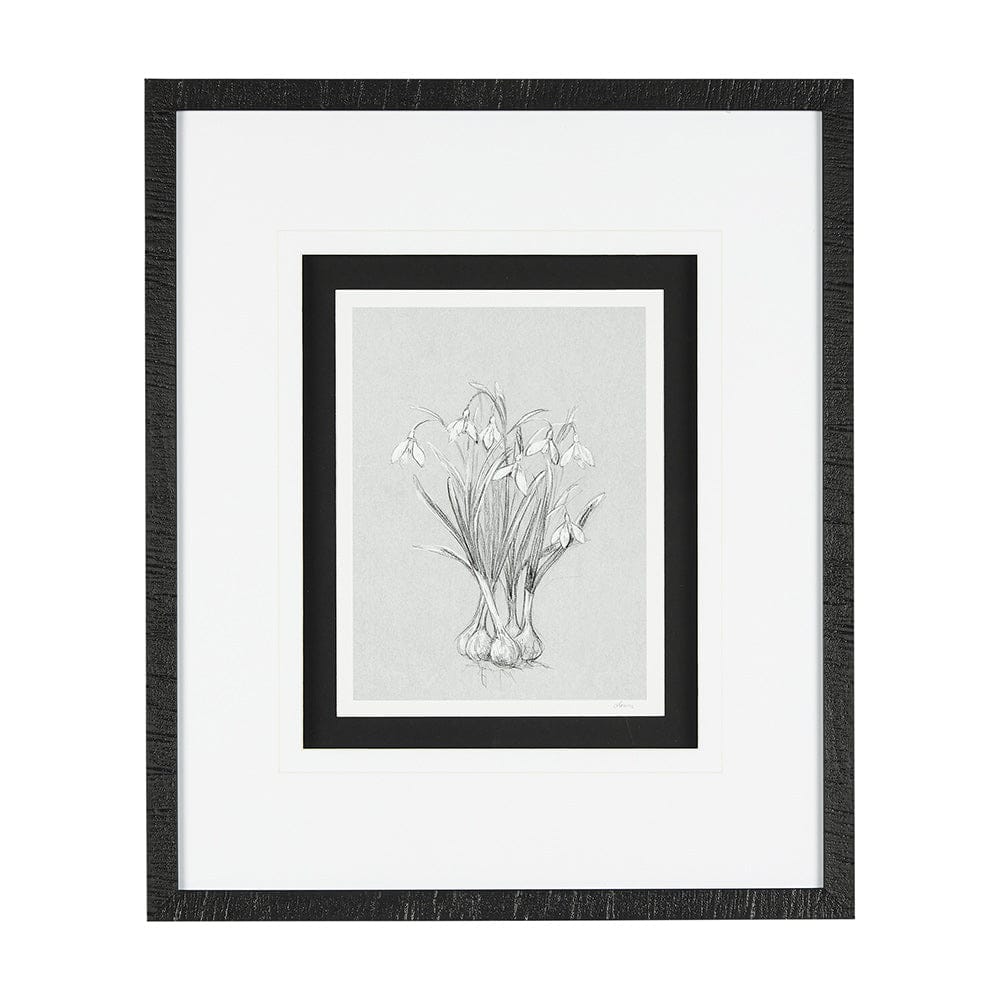 Mercana - Botanical sketches VI Grey by Mercana Studio Hand Embellished Framed Art Print Matted under Glass - 14539 view 1