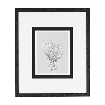 Mercana - Botanical sketches VI Grey by Mercana Studio Hand Embellished Framed Art Print Matted under Glass - 14539 view 1