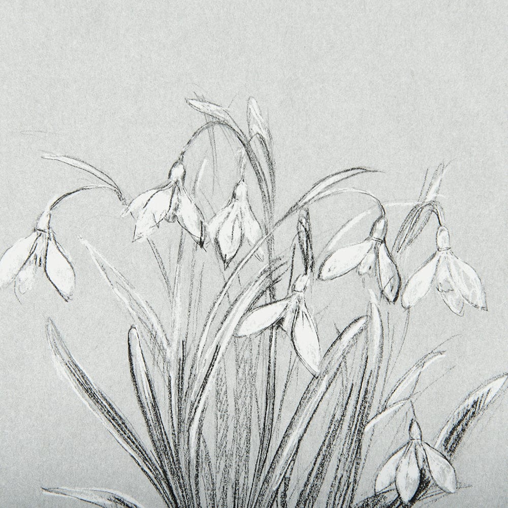 Mercana - Botanical sketches VI Grey by Mercana Studio Hand Embellished Framed Art Print Matted under Glass - 14539 view 7