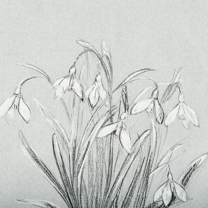 Mercana - Botanical sketches VI Grey by Mercana Studio Hand Embellished Framed Art Print Matted under Glass - 14539 view 7