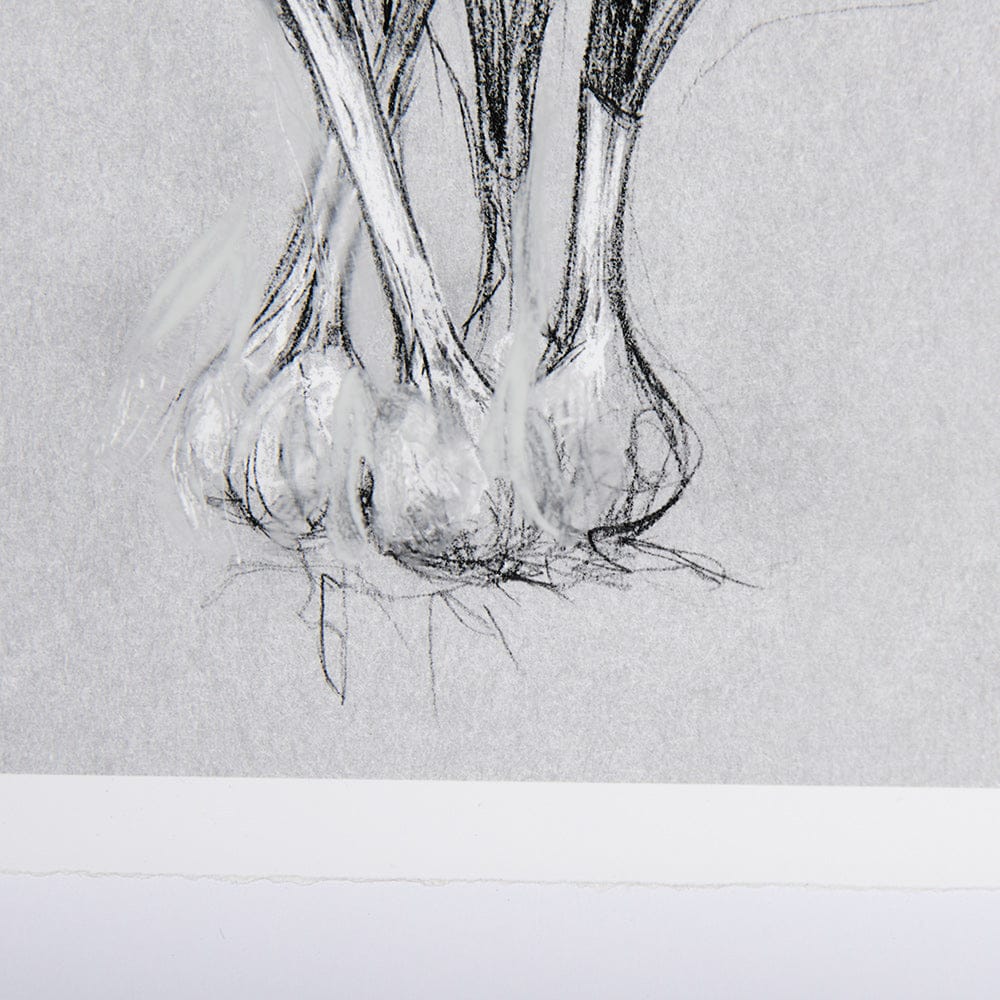 Mercana - Botanical sketches VI Grey by Mercana Studio Hand Embellished Framed Art Print Matted under Glass - 14591 view 6