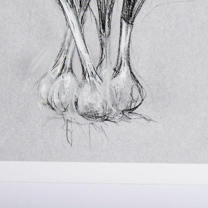 Mercana - Botanical sketches VI Grey by Mercana Studio Hand Embellished Framed Art Print Matted under Glass - 14591 view 6