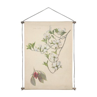 Mercana - Botanical Study-Cornus Florida by Mercana Studio a Hand Embelished Textured Framed Art Print - 15409 view 1