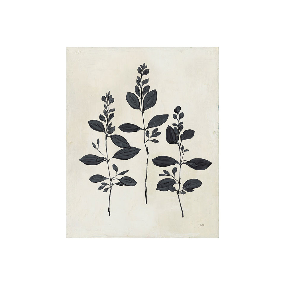 Mercana - Botanical Study IV by Julia Purinton a Hand Embellished Textured Canvas - 101619-S view 1