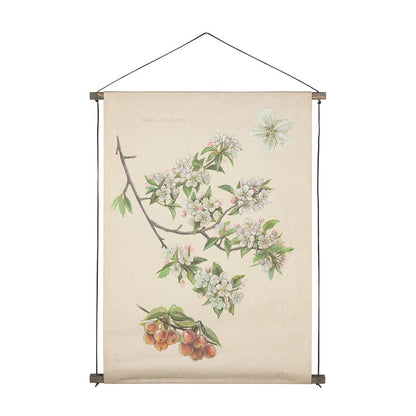 Mercana - Botanical Study-Malus Sylvestris by Mercana Studio a Hand Embelished Textured Framed Art Print - 15411 view 1