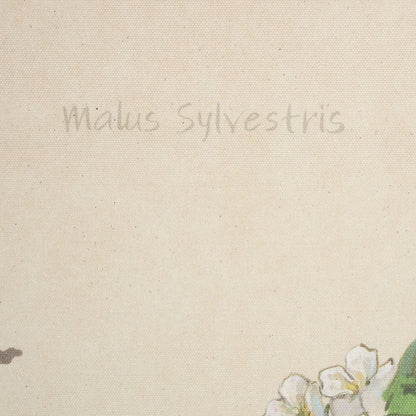 Mercana - Botanical Study-Malus Sylvestris by Mercana Studio a Hand Embelished Textured Framed Art Print - 15411 view 4