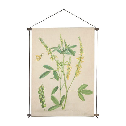 Mercana - Botanical Study-Melilotus Officinalis by Mercana Studio a Hand Embelished Textured Framed Art Print - 15410 view 1