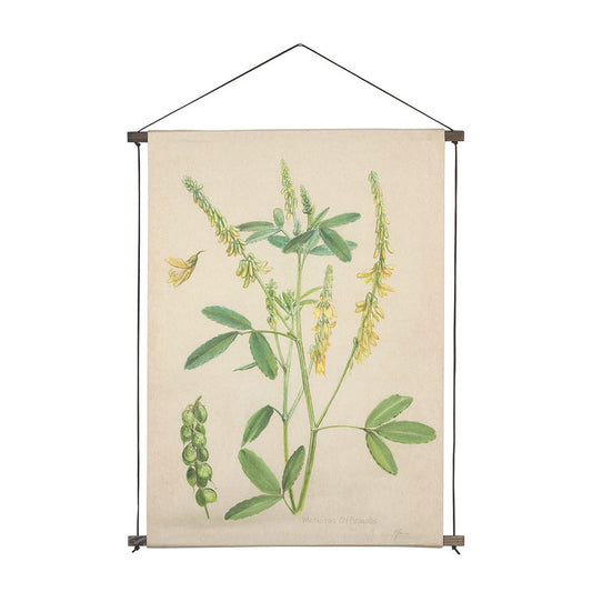 Mercana - Botanical Study-Melilotus Officinalis by Mercana Studio a Hand Embelished Textured Framed Art Print - 15410 view 1