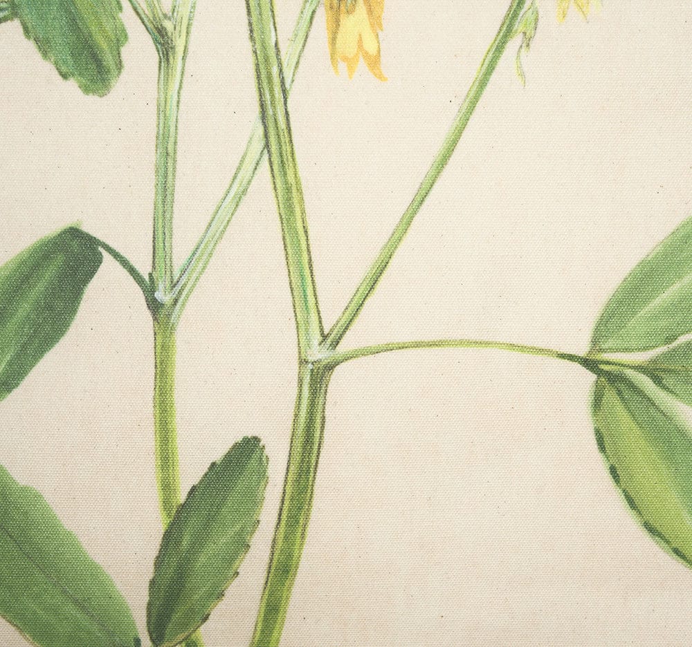 Mercana - Botanical Study-Melilotus Officinalis by Mercana Studio a Hand Embelished Textured Framed Art Print - 15410 view 4