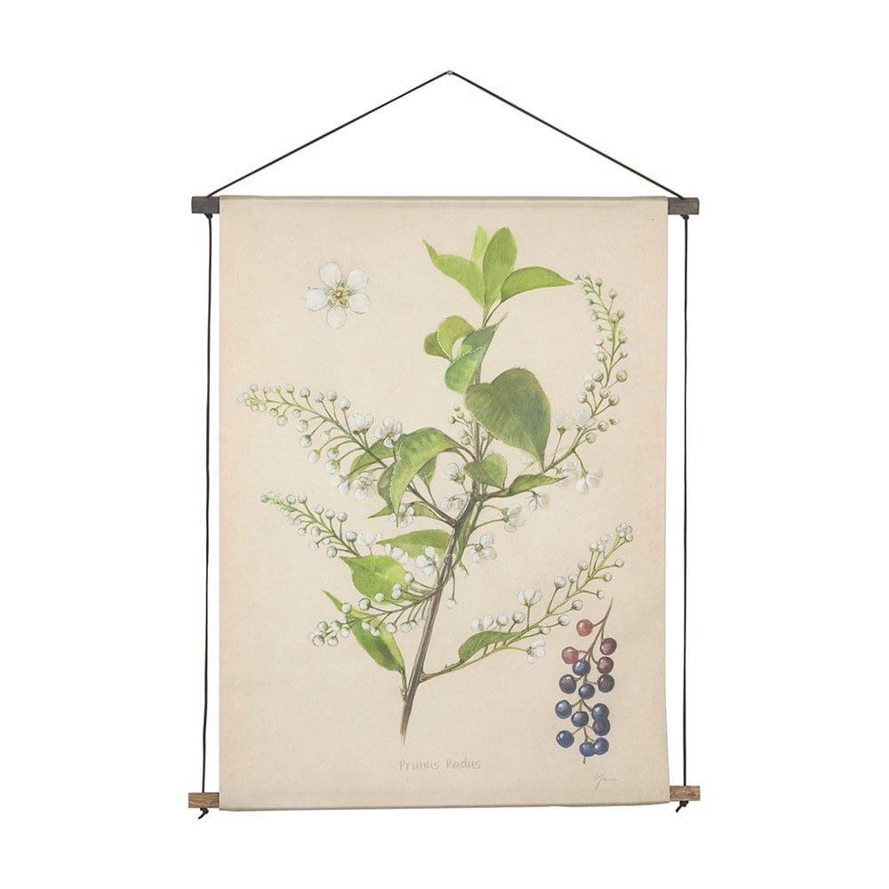 Mercana - Botanical Study-Prunus Padus by Mercana Studio a Hand Embelished Textured Framed Art Print - 15408 view 1