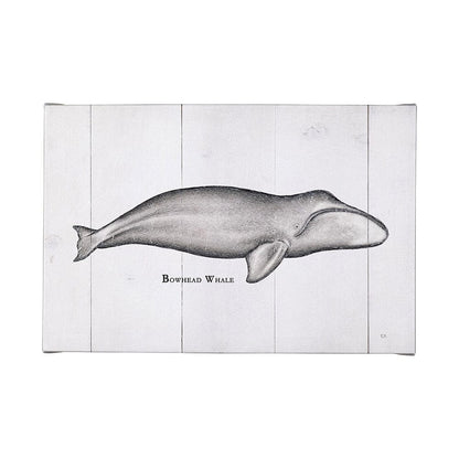 Mercana - Bowhead Whale by Mercana Studio a Hand Embellished Textured Canvas - 101868-L view 1