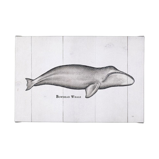 Mercana - Bowhead Whale by Mercana Studio a Hand Embellished Textured Canvas - 101868-L view 1