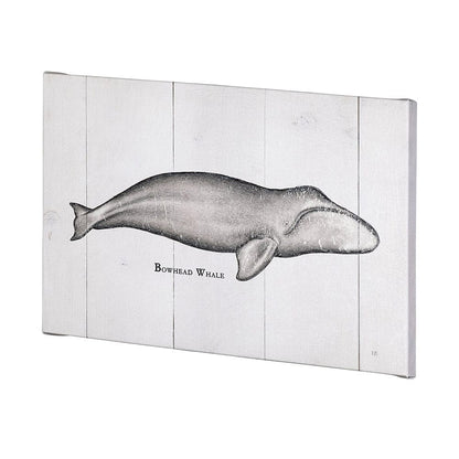 Mercana - Bowhead Whale by Mercana Studio a Hand Embellished Textured Canvas - 101868-L view 2