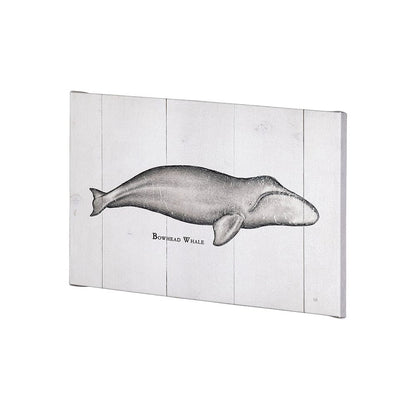 Mercana - Bowhead Whale by Mercana Studio a Hand Embellished Textured Canvas - 101868-S view 2