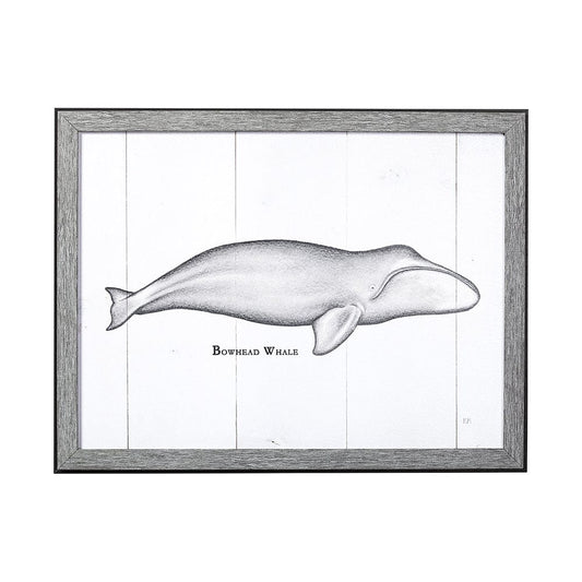 Mercana - Bowhead Whale by Mercana Studio a Hand Embellished Textured Framed Art Print - 13562 view 1