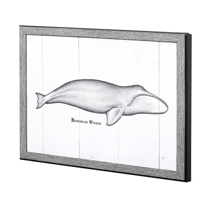 Mercana - Bowhead Whale by Mercana Studio a Hand Embellished Textured Framed Art Print - 13562 view 2