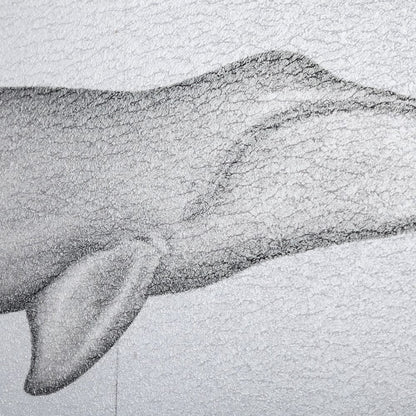 Mercana - Bowhead Whale by Mercana Studio a Hand Embellished Textured Framed Art Print - 13562 view 7