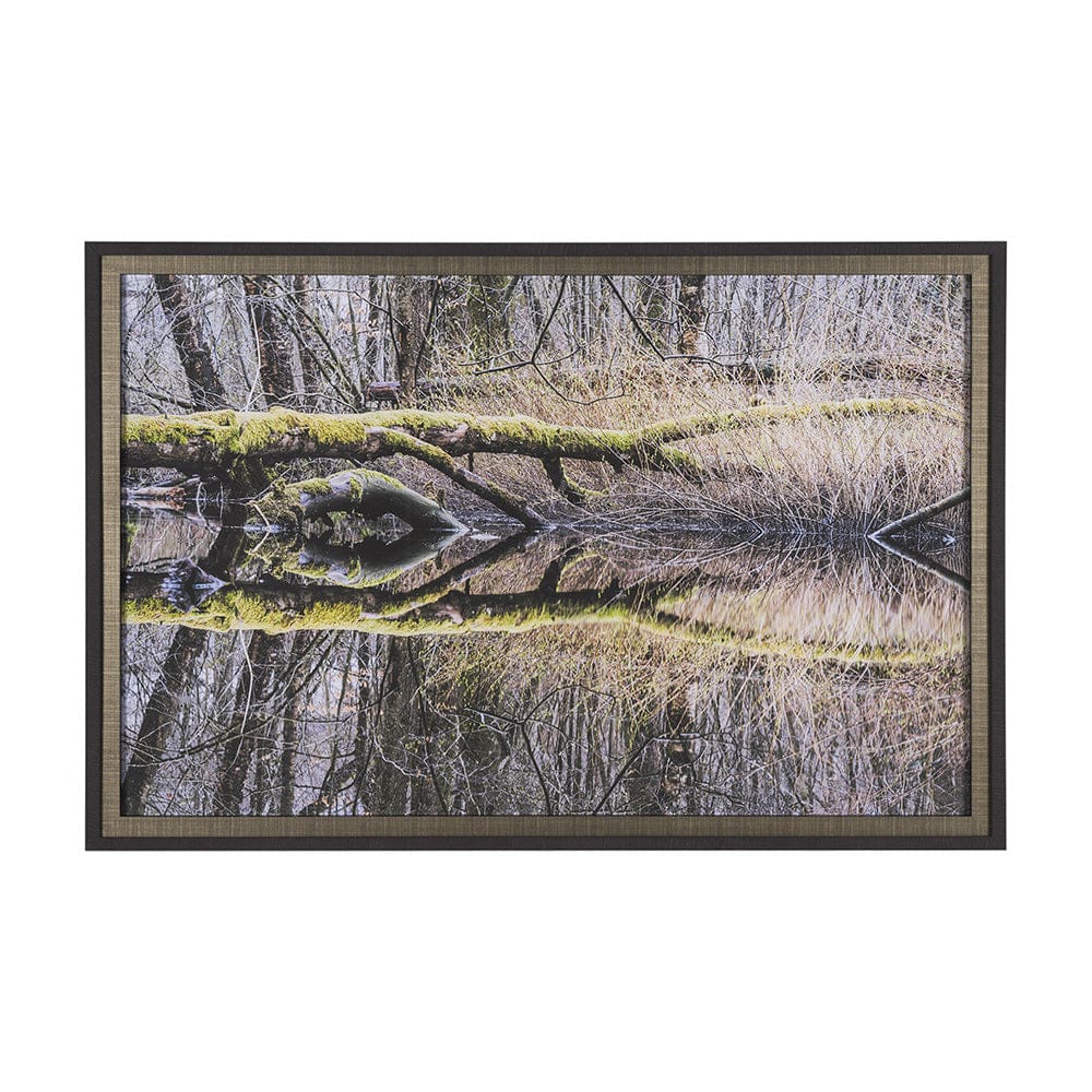 Mercana - Branchscape Moss - Reflect by Mikael Svensson a Framed Art Print Matted under Glass - 15588 view 1