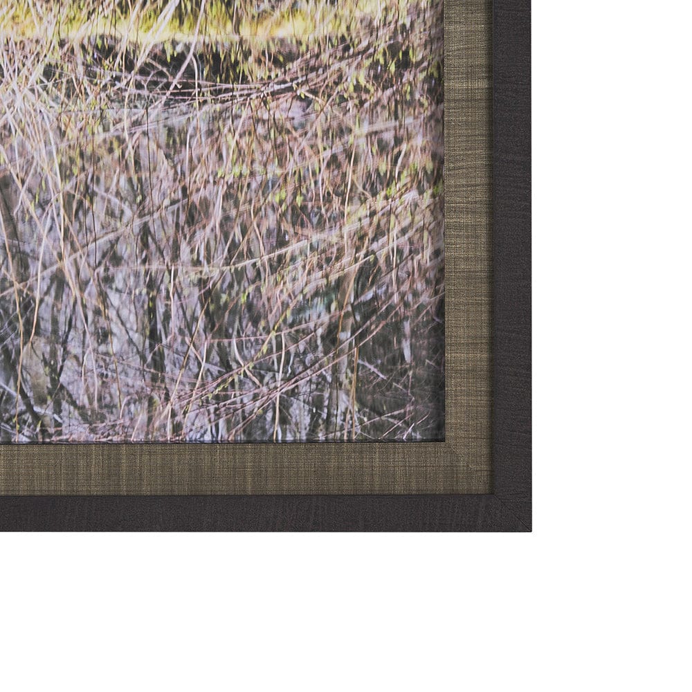 Mercana - Branchscape Moss - Reflect by Mikael Svensson a Framed Art Print Matted under Glass - 15588 view 3
