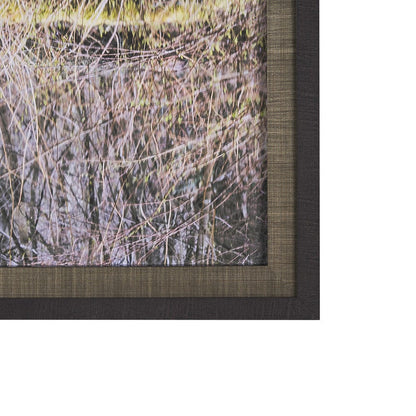 Mercana - Branchscape Moss - Reflect by Mikael Svensson a Framed Art Print Matted under Glass - 15588 view 3