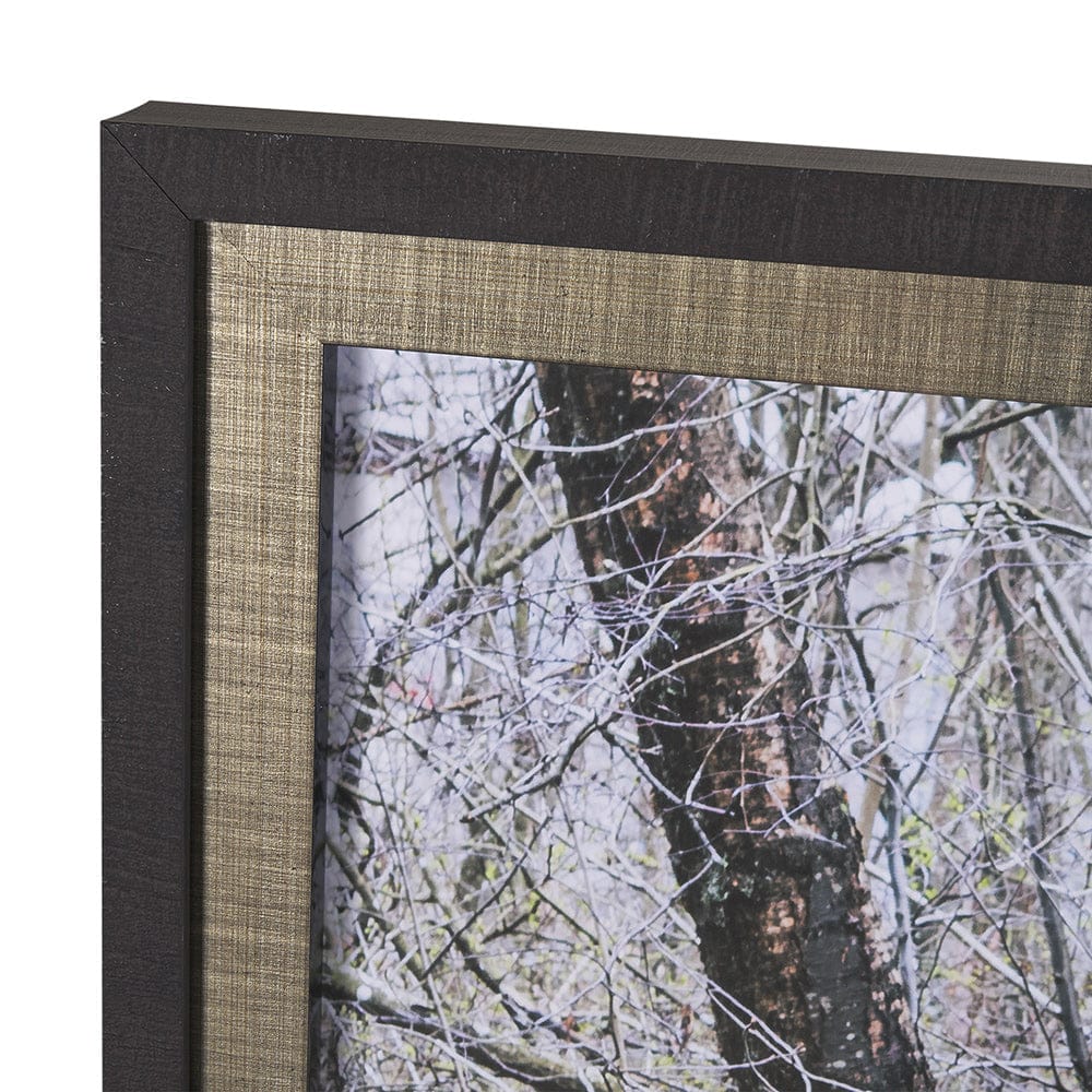 Mercana - Branchscape Moss - Reflect by Mikael Svensson a Framed Art Print Matted under Glass - 15588 view 4