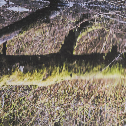 Mercana - Branchscape Moss - Reflect by Mikael Svensson a Framed Art Print Matted under Glass - 15588 view 6