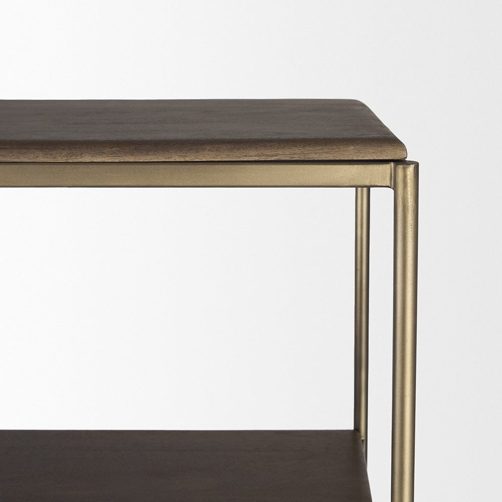 Mercana - Braxton Dark Brown Wood w/ Antiqued Aged Brass Metal 3 Tiers 2 Door Shelving Unit - 71118-AB view 7