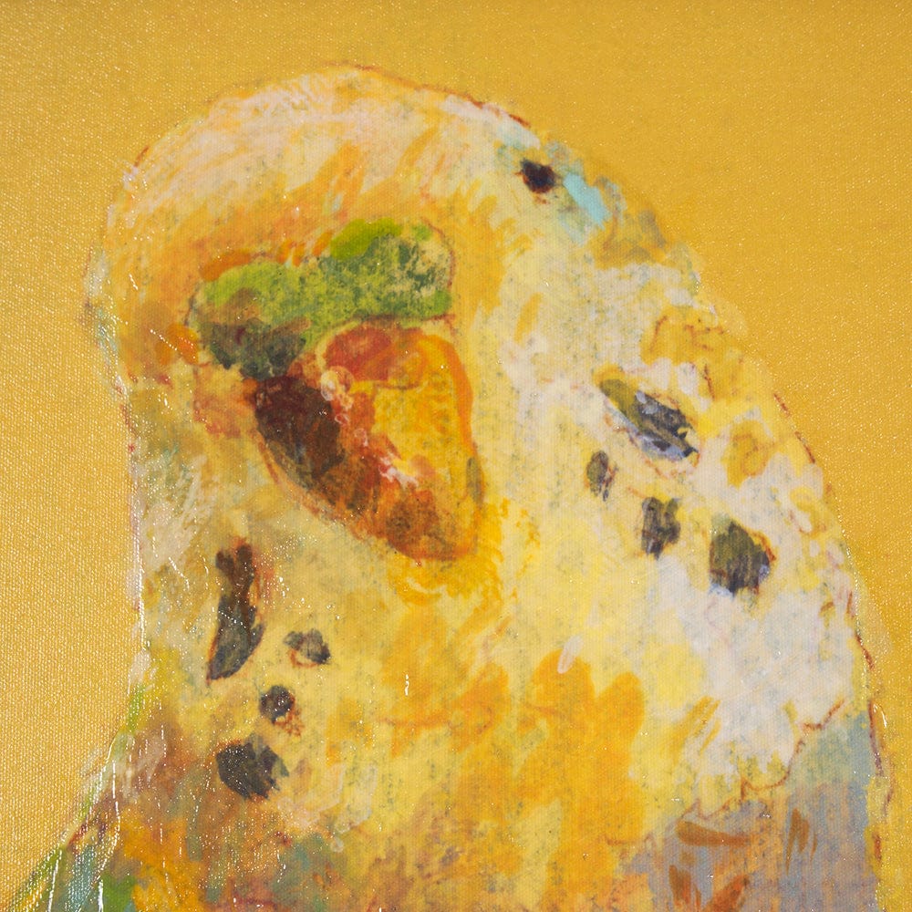 Mercana - Bright Birds I by Roy Woodland a Hand Embellished Textured Framed Art Print - 15272 view 8