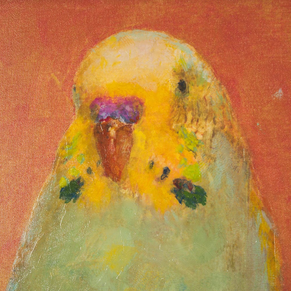 Mercana - Bright Birds II by Roy Woodland a Hand Embellished Textured Framed Art Print - 15273 view 8
