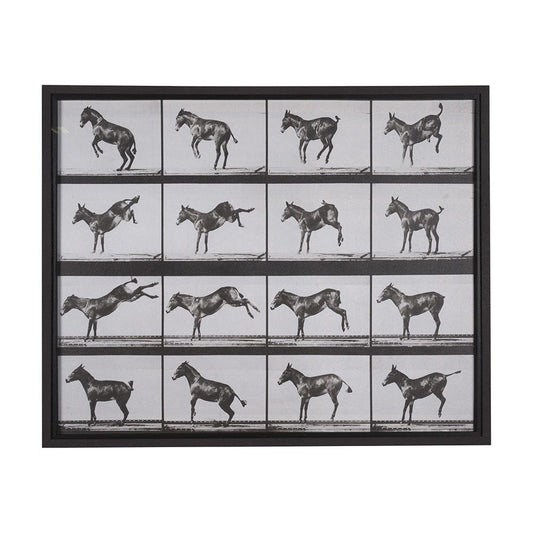 Mercana - Bucking and Kicking by Eadweard Muybridge Hand Embellished Framed Art Print Matted under Glass - 15301 view 1