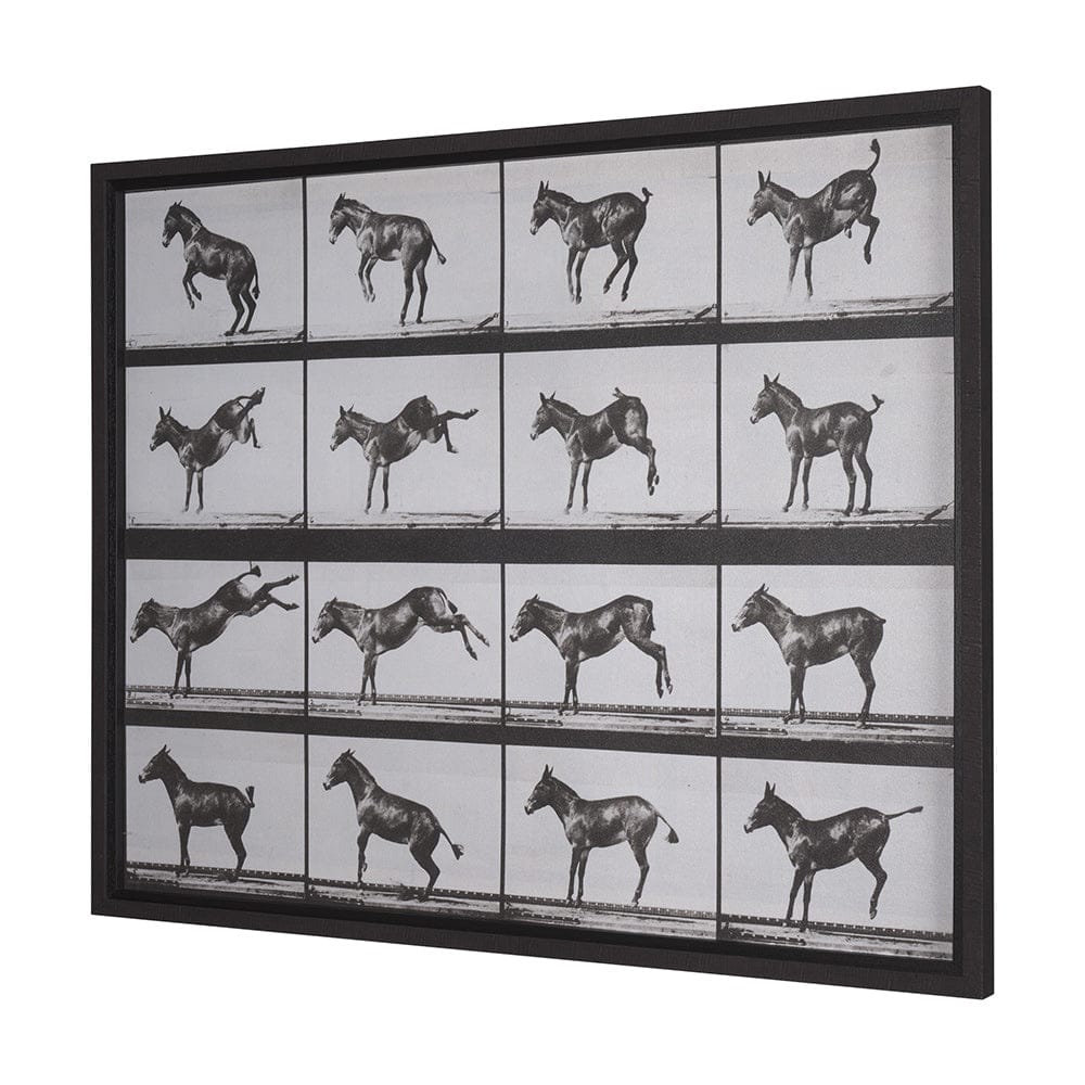 Mercana - Bucking and Kicking by Eadweard Muybridge Hand Embellished Framed Art Print Matted under Glass - 15301 view 2