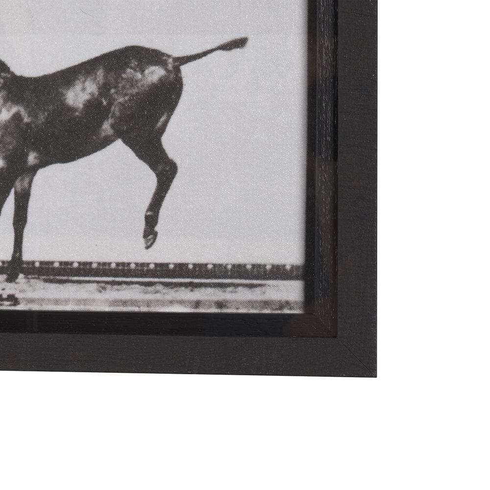 Mercana - Bucking and Kicking by Eadweard Muybridge Hand Embellished Framed Art Print Matted under Glass - 15301 view 3