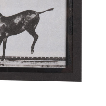 Mercana - Bucking and Kicking by Eadweard Muybridge Hand Embellished Framed Art Print Matted under Glass - 15301 view 3