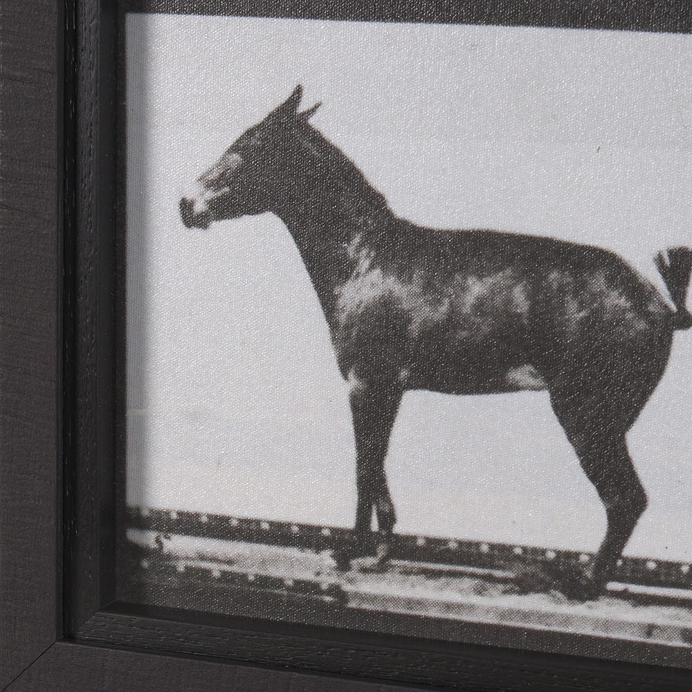 Mercana - Bucking and Kicking by Eadweard Muybridge Hand Embellished Framed Art Print Matted under Glass - 15301 view 5