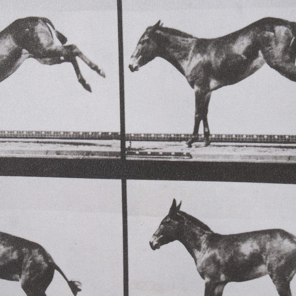 Mercana - Bucking and Kicking by Eadweard Muybridge Hand Embellished Framed Art Print Matted under Glass - 15301 view 7