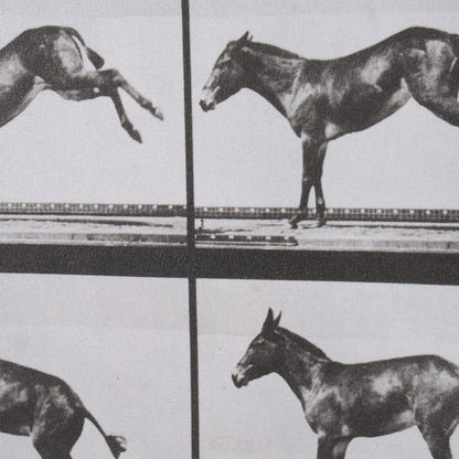 Mercana - Bucking and Kicking by Eadweard Muybridge Hand Embellished Framed Art Print Matted under Glass - 15301 view 7
