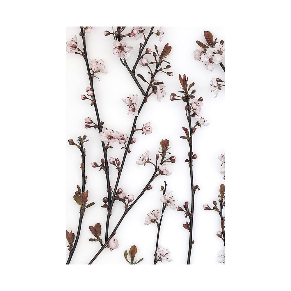 Mercana - Budding Blossom by Frank Assaf a Hand Embellished Textured Canvas - 101797-L view 1