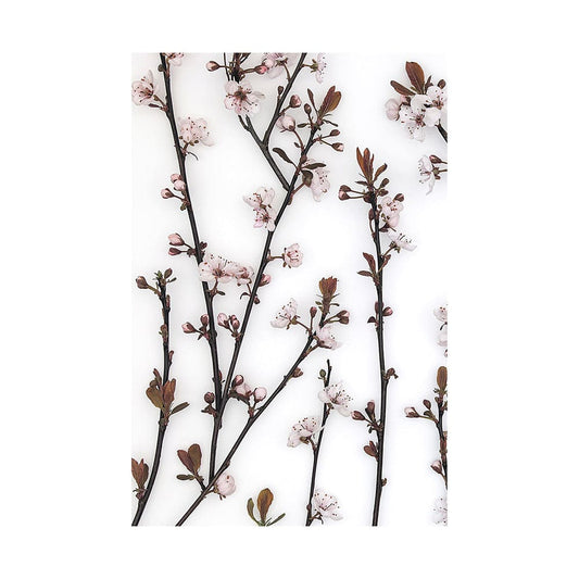 Mercana - Budding Blossom by Frank Assaf a Hand Embellished Textured Canvas - 101797-L view 1