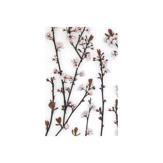 Mercana - Budding Blossom by Frank Assaf a Hand Embellished Textured Canvas - 101797-S view 1