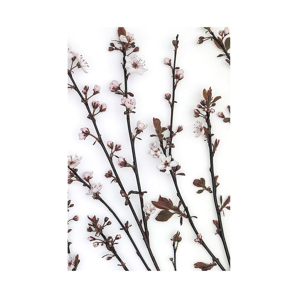 Mercana - Budding Blossom by Frank Assaf a Hand Embellished Textured Canvas - 101798-L view 1